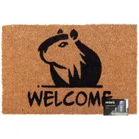Galicja Kokosmat DIEREN 60x40 cm - antislip & absorberend