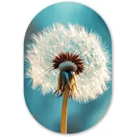 MuchoWow Muurovaal 60x90 cm - Ovale wanddecoratie Paardenbloem - Natuur - Bloemen - Blauw - Ovalen schilderij - Muurdecoratie woonkamer - Kamer decoratie - Schilderijen - Wandcirkel