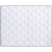 HAUSS SPOLE Federkernmatras 140x200 cm - H3 Stevig Ligcomfort Met Ergonomische Lendensteun - 25 cm Dik Voor Rug Zij En Buikslapers - Wit