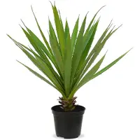 Maxifleur Kunstplanten Yucca kunstplant 40cm