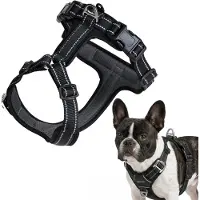 Peluvio Mate – Hondentuig met Reflectie - Maat S – Duurzaam Nylon – Ergonomisch Guard Tuig – Antiroest Gespen – Sneldrogend & Weerbestendig – Comfort & Controle voor Actieve Honden