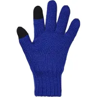 Under Armour Wollen handschoenen met touchscreen voor heren (Blauw)