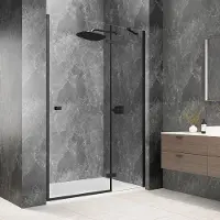 Polysan Globe nisdeur met vast paneel 110cm helder glas rechts zwart mat