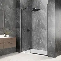 Polysan Globe nisdeur met vast paneel 80cm helder glas links zwart mat
