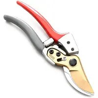 Famanu – Snoeischaar voor zwaar gebruik, stalen mes, 25 mm snijcapaciteit, ergonomisch tuingereedschap voor bomen en struiken, 21 cm lengte