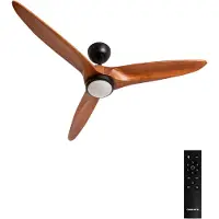 Create - Plafondventilator 40W stil Ø152 cm 100% hout - M - Met licht - Afstandsbediening - WIND CENTURY