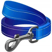 Waudog Nylon Hondensnoer Blauw 200cm x 2.5cm - Reflecterend