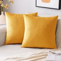 Famanu – Kussenslopen, set van 2, fluweel, goudkleurig, decoratief, 40 x 40 cm, perfect voor woonkamer en slaapkamer