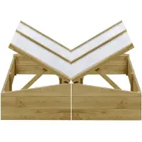 vidaXL Kweekkassen 2 st 100x50x35 cm geïmpregneerd grenenhout