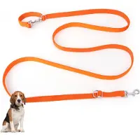 Famanu – Verstelbare intrekbare hondenriem van 3 m met 2 karabijnhaken, verdikte dubbele lijn voor kleine en middelgrote honden, handsfree trainingslijn van nylon, oranje