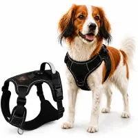 By Cee Cee Hondentuigje Hondenharnas - Anti Trek Tuig - Y Tuig Hond – Reflecterend Honden Tuigje – Zwart – Maat M