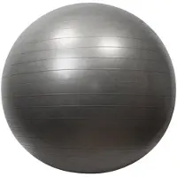 Sporti France Gym Fitbal 75 Cm