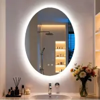 LUVODI WISFOR Ovaal LED-spiegel voor de badkamer, 50x70 cm, wandspiegel met verlichting, touchbediening, dimbaar, geheugenfunctie, IP66-bescherming