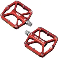 P2r Cityman 40 Rtc Pedalen