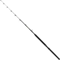 Penn Regiment Iv Trolling Rod Zilver 1.98 m / 60-120 Lbs