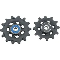 Sram Xx1/x01 Eagle Derailleurwieltjes Set Voor Fietsen