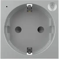 Livolo | Grijs | SR | Module | Wandcontactdoos | Smart Home - Bekijk
