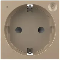 Livolo | Goud | SR | Module | Wandcontactdoos | Smart Home - Bekijk