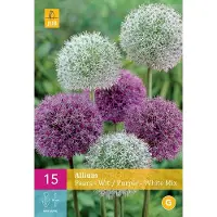 Jub holland - bloembollen - Allium/Sierui Paars-Wit - maat 10/12 - 15 stuks
