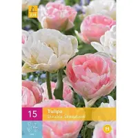 Jub holland - bloembollen - Tulpen Double Sensation - maat 11/12 - 15 stuks