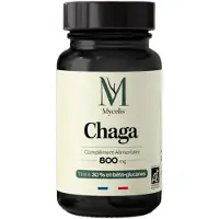 Phytalessence Chaga 800 mg Bio 60 Gélules