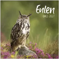 Korsch Verlag Uilen Kalender 2027