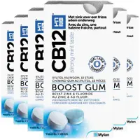 Cb12 6x Boost Kauwgom 1x10 stuks