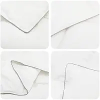 vidaXL Dekbed en Kussen Set 2 st 137x200 cm 4 seizoenen 300 GSM Wol