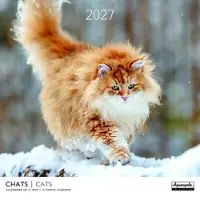 Aquarupella Katten Kalender 2027