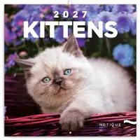 Presco Kittens Kalender 2027