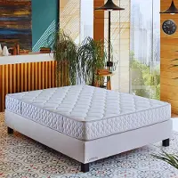 Comforta - Twijfelaar - Pocketveringmatras - 120x200x21 - Antiallergisch - Tencel - 21cm