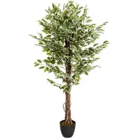 Melinera Kunstplant Ficus - Afmetingen: 80 x 165 cm