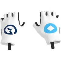 Bioracer Summer Groupama-fdj 2026 Korte Handschoenen