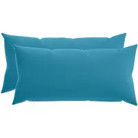 vidaXL Kussensloop 2 st HEERLEN Lichtblauw 40 x 70 cm Polyester