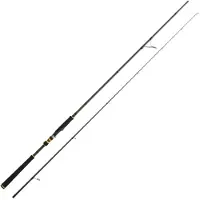 Cinnetic Raycast Xbr Sea Bass Ii Mh Game Spinning Rod 3.00 m / 20-80 g