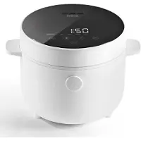 DS Produkte Rijstkoker Wit
