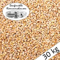 Petigi 30 kg Gereinigd Tarwe Kippenvoer Pluimveevoer Voer Tarwe Enkelvoudig Voer Vogelvoer Oogst 2025 DML