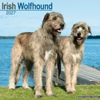 Avonside Publishing Ltd. Ierse Wolfshond Kalender 2027