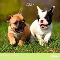 Aquarupella Puppies Kalender 2027