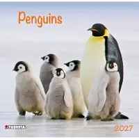 Tushita Pinguin Kalender 2027