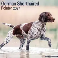 Avonside Publishing Ltd. Duitse Staande Kalender 2027