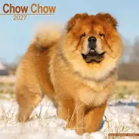Avonside Publishing Ltd. Chow Chow Kalender 2027