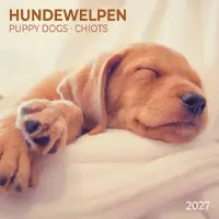 Tushita Puppies Kalender 2027
