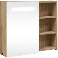 vidaXL Spiegelkast met LED-verlichting, eikenlook, 60x13x52 cm