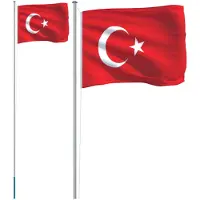 vidaXL Vlag met vlaggenmast Turkije 6,08 m aluminium