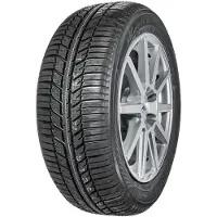 Yokohama winterbanden voor motorfietsen, BluEarth-Winter (V905) (245/40 R21 100V XL BluEarth, RPB)