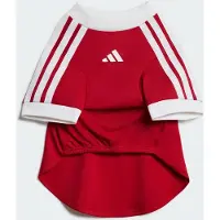Adidas Manchester United Huisdierenshirt