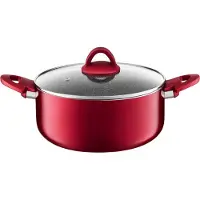 Selgros Ambitie Jasper Rode Pan met Deksel - 20cm, 3L