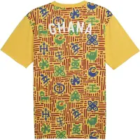 Puma Herenvoetbalshirt Ghana (voor de wedstrijd) (Geel)