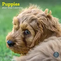 Baker & Bray Puppies Kalender 2027
